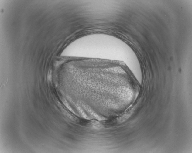 X0000087670425200706011634
