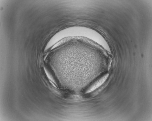 X0000087670429200706011634