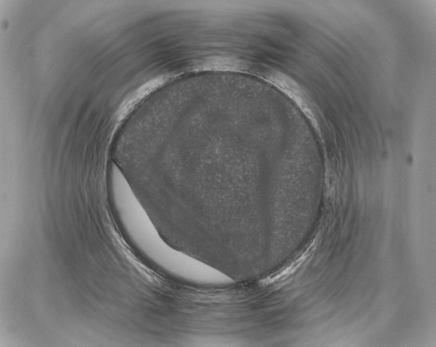 X0000087670437200706011633