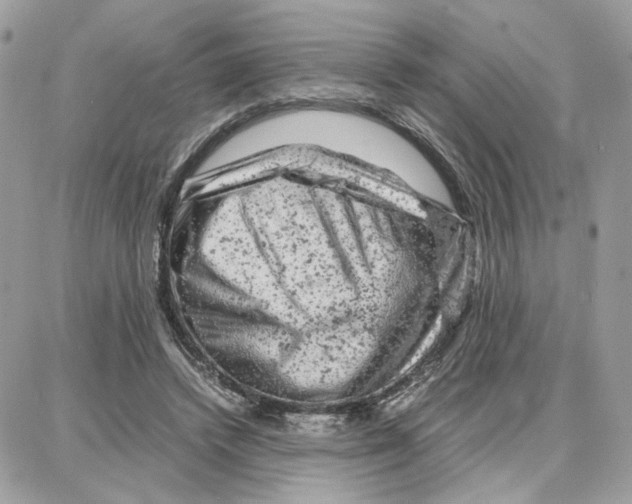 X0000087670448200706011633