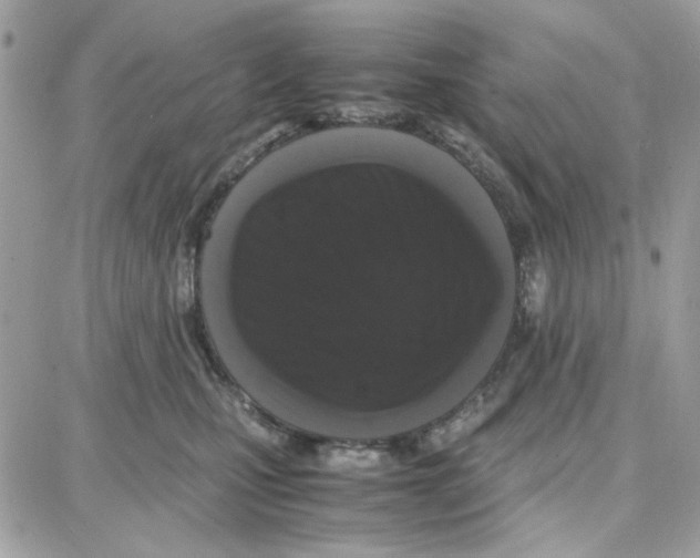X0000087670471200706011633
