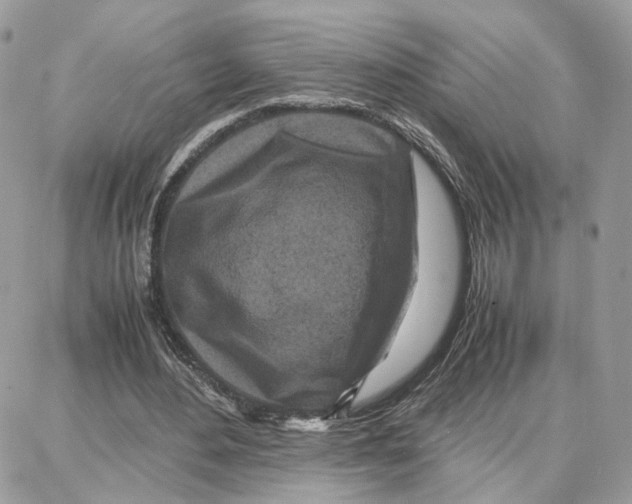 X0000087670484200706011633