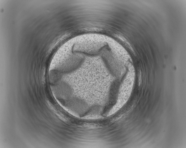 X0000087670490200706011633