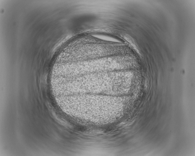 X0000087670491200706011633
