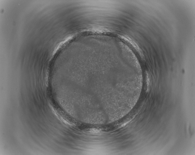 X0000087670496200706011633