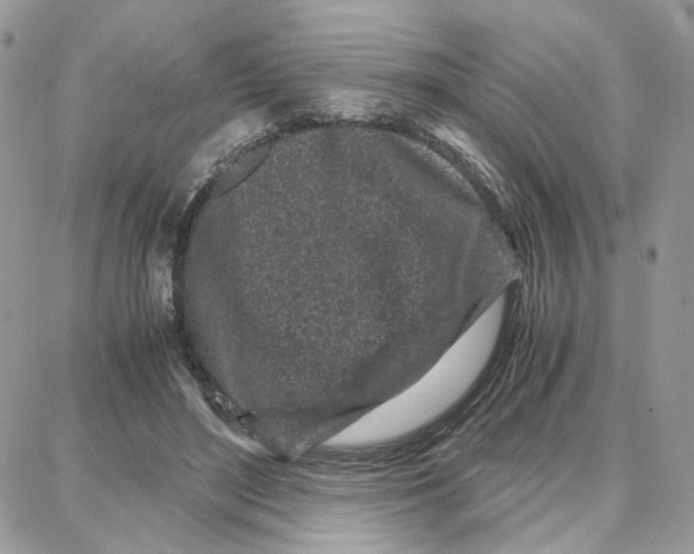 X0000087670500200706011632