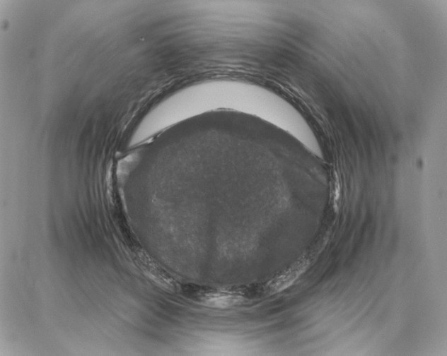 X0000087670504200706011632