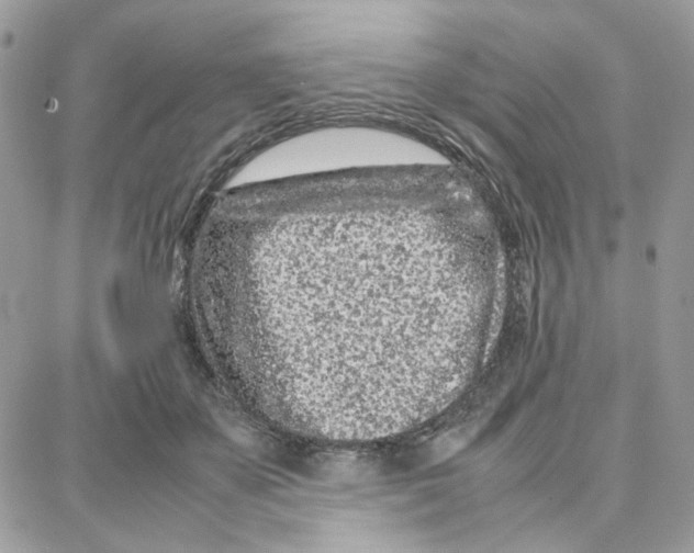 X0000087670507200706011632