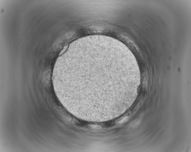 X0000087670509200706011632