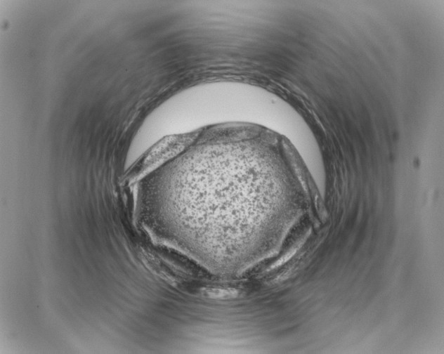 X0000087670512200706011632