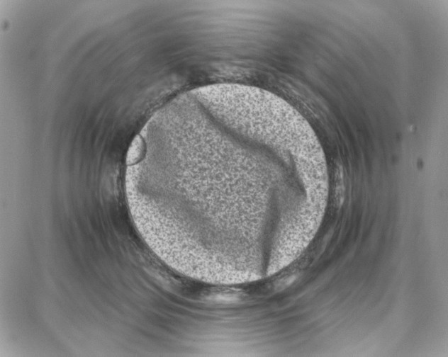 X0000087670514200706011632