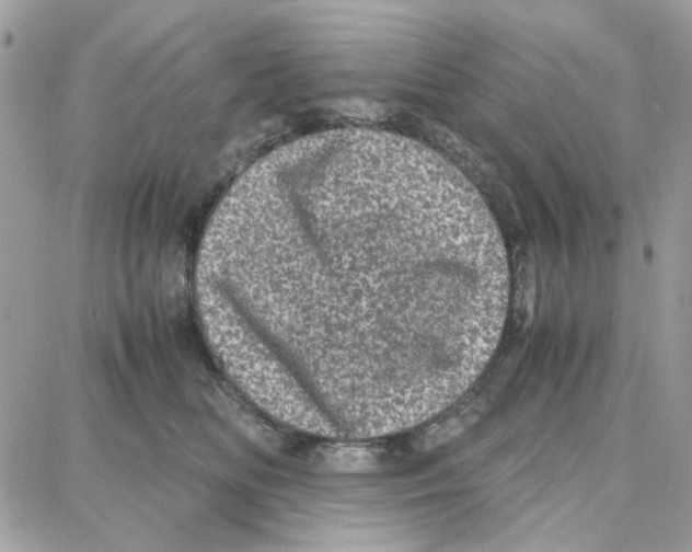 X0000087670518200706011632