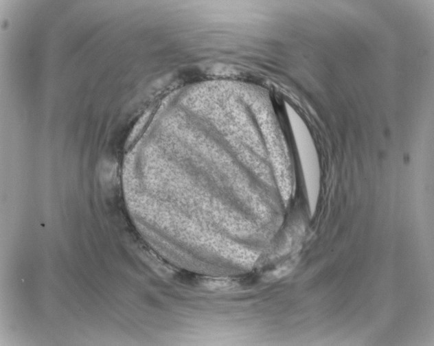 X0000087670521200706011632