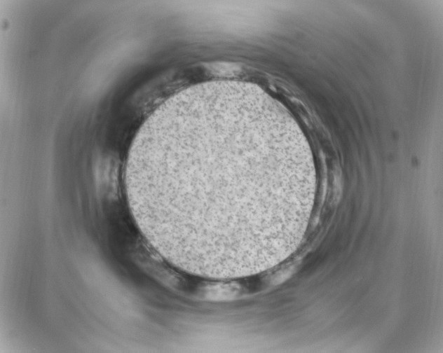 X0000087670525200706011632