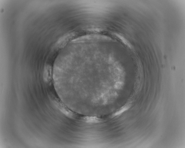 X0000087670528200706011632