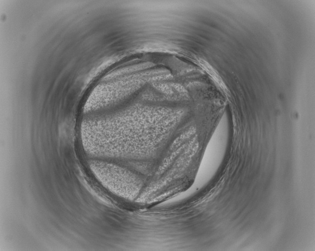 X0000087670530200706011631