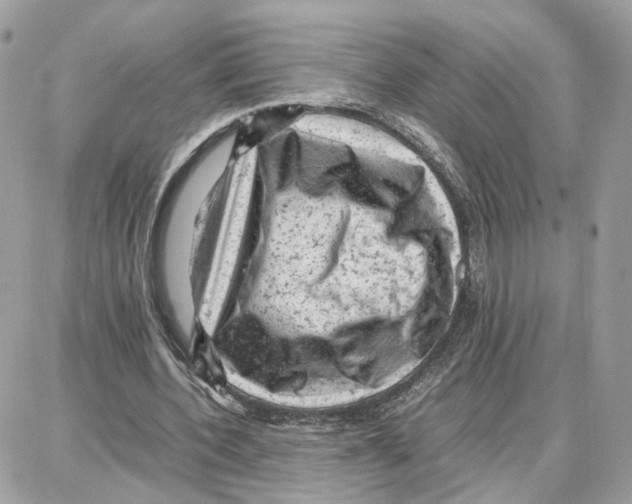 X0000087670532200706011631