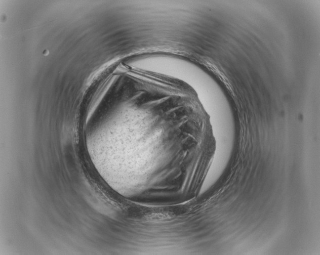 X0000087670536200706011631