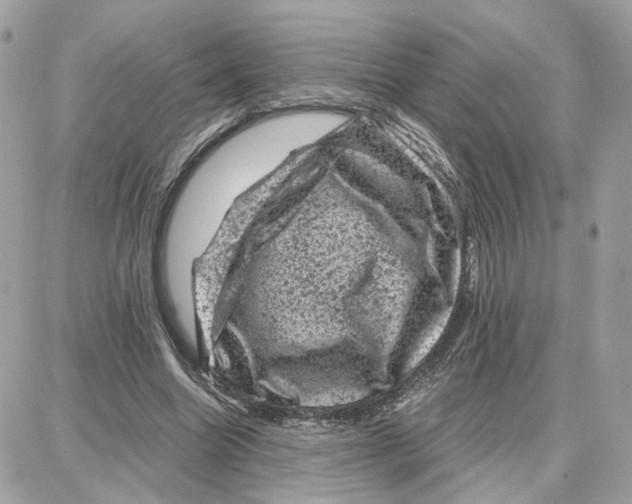 X0000087670538200706011631