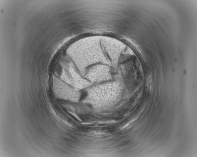 X0000087670540200706011631