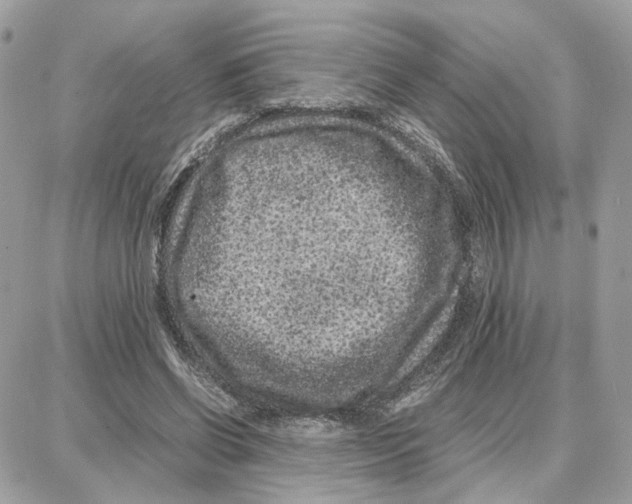 X0000087670542200706011631