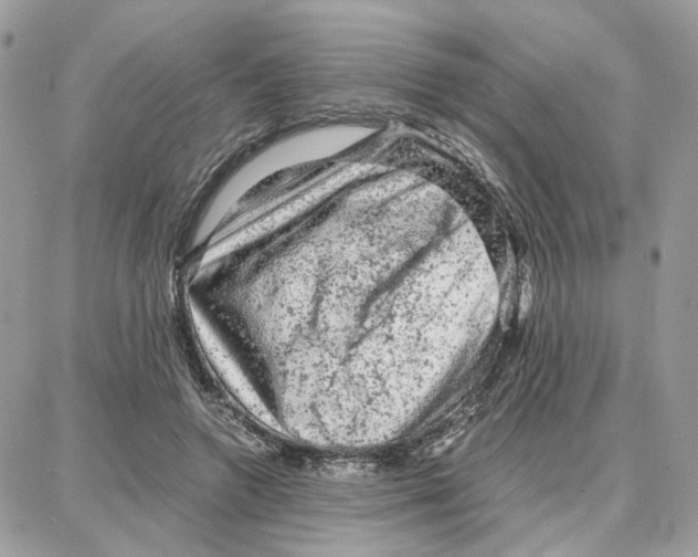 X0000087670546200706011632