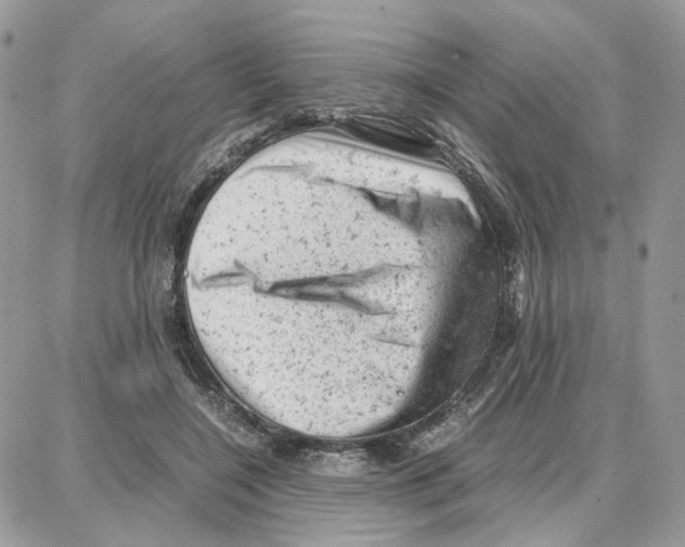 X0000087670548200706011632