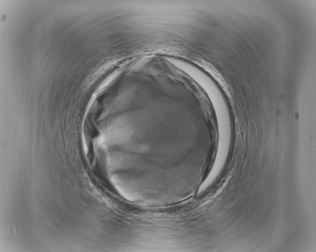 X0000087670577200706011631