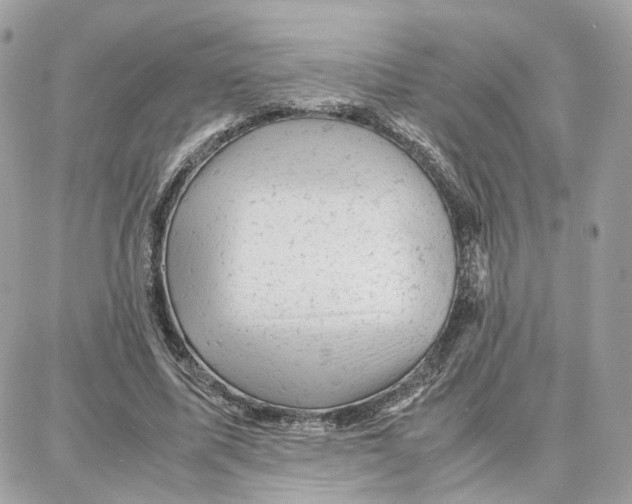 X0000087670587200706011631