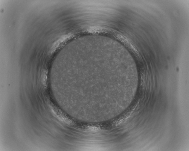 X0000087670592200706011631