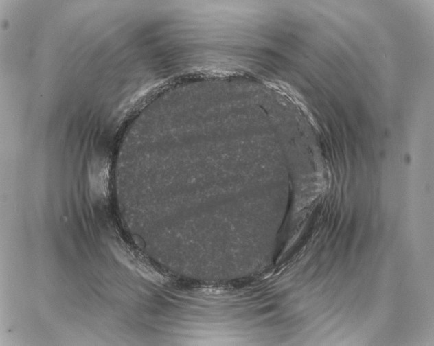 X0000087670596200706011631