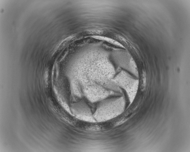 X0000087670600200706011631