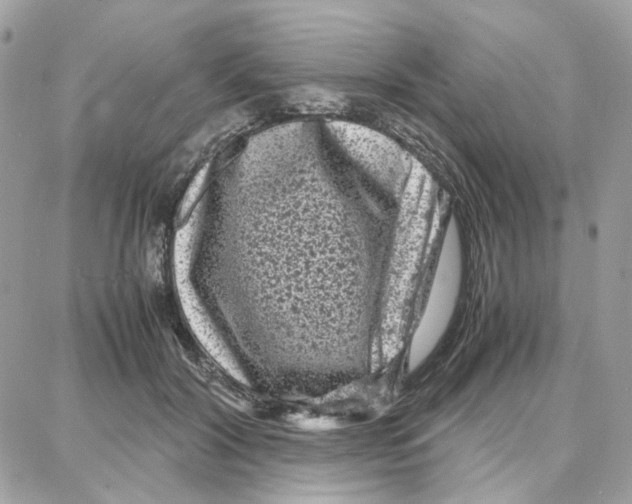 X0000087670604200706011631