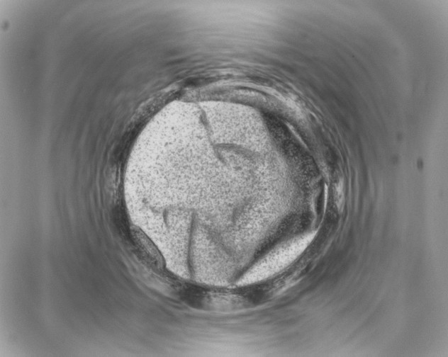 X0000087670605200706011631