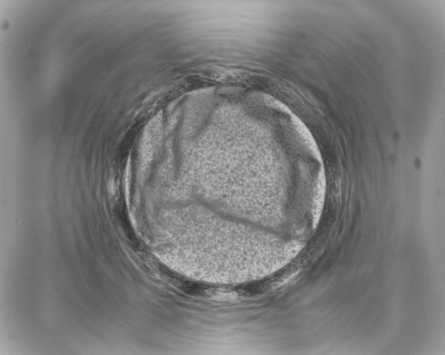 X0000087670607200706011631