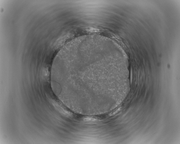 X0000087670614200706011631