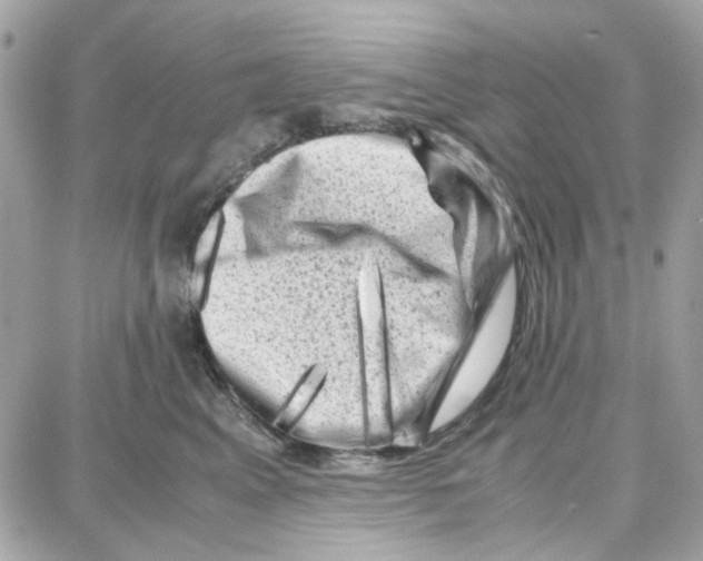 X0000087670617200706011631