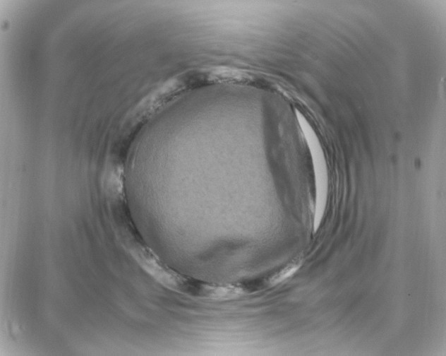 X0000087670621200706011631