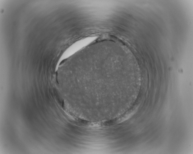 X0000087670624200706011630