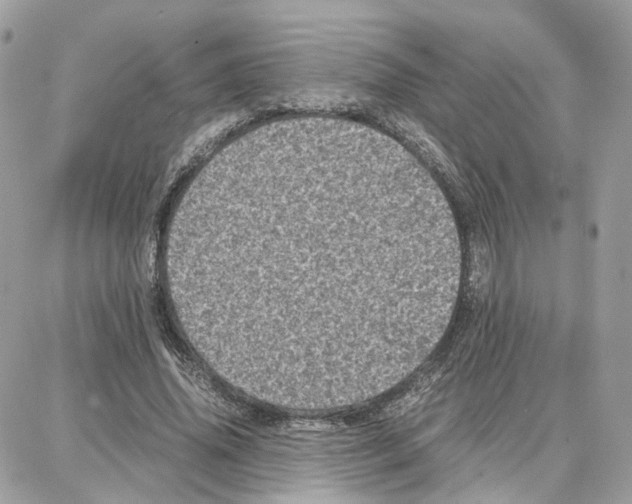 X0000087670636200706011630