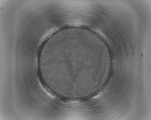 X0000087670638200706011630