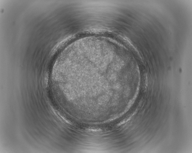 X0000087670640200706011630