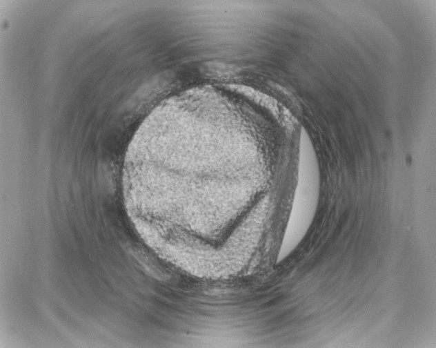 X0000087670658200706011630