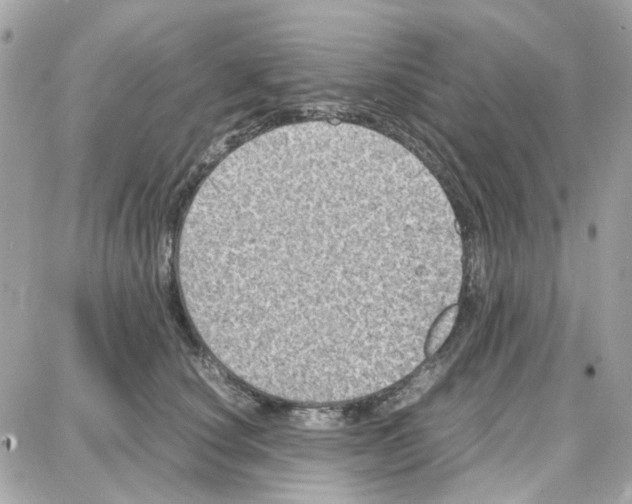 X0000087670660200706011630