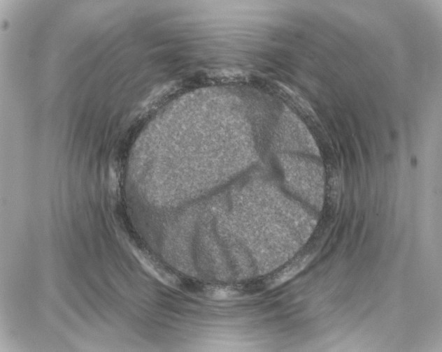 X0000087670662200706011630