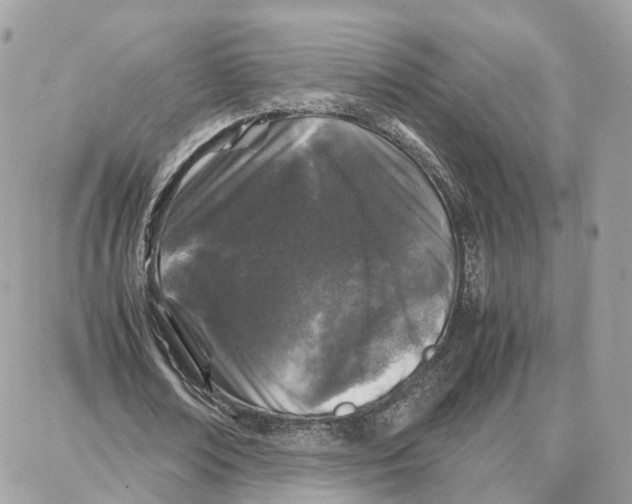 X0000087670674200706011630