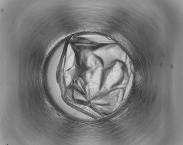 X0000087670676200706011630