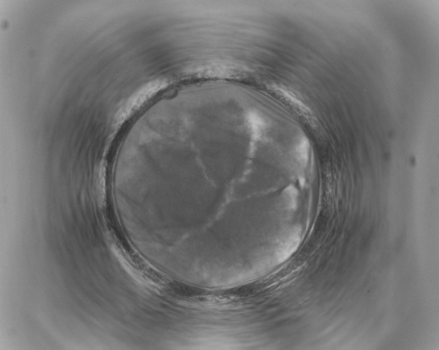 X0000087670678200706011630