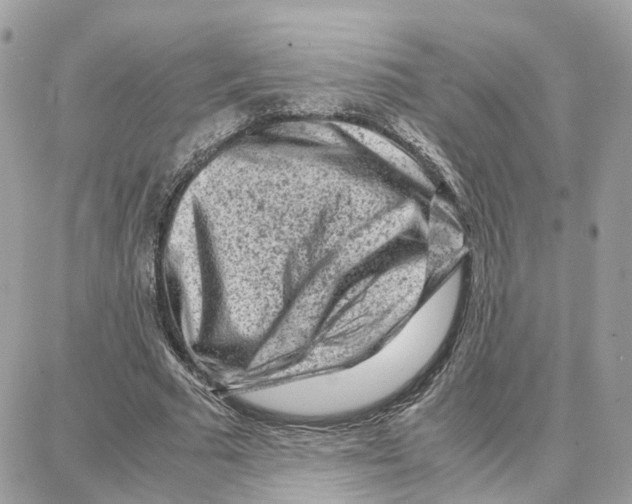 X0000087670681200706011630