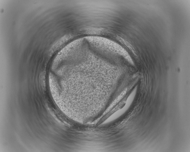 X0000087670682200706011630